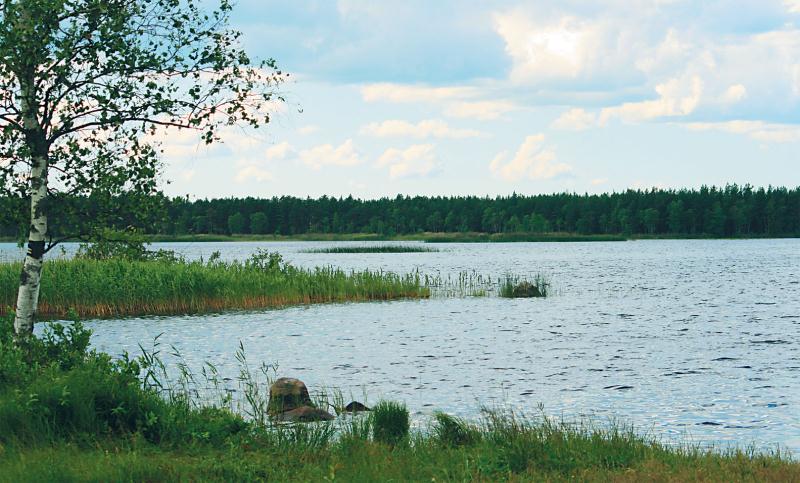 File:Pärnumaa_Kaisma järv.jpg